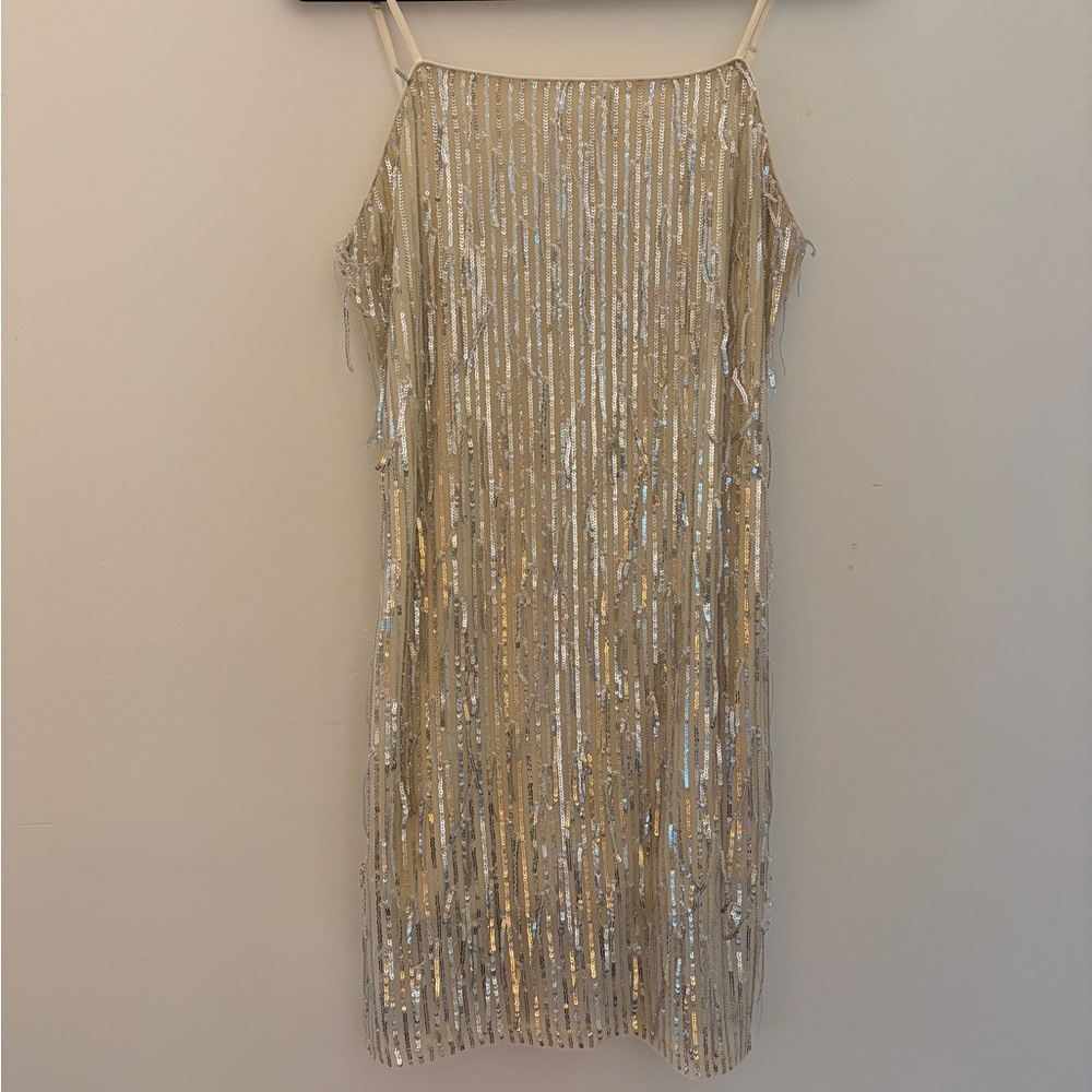 Silver Sequin Mini Dress | Cream Mesh Base